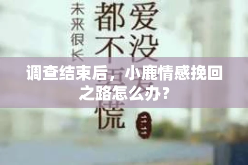 调查结束后，小鹿情感挽回之路怎么办？
