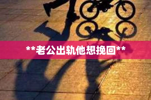 **老公出轨他想挽回**