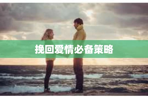 挽回爱情必备策略