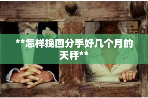 **怎样挽回分手好几个月的天秤**