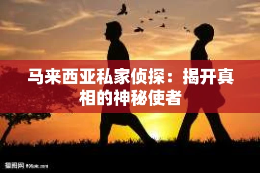 马来西亚私家侦探：揭开真相的神秘使者