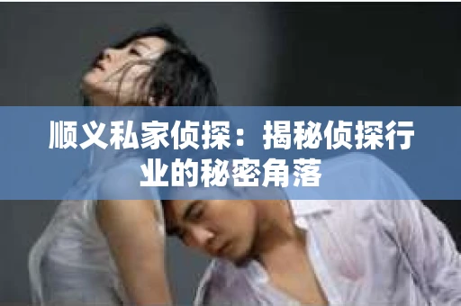 顺义私家侦探：揭秘侦探行业的秘密角落