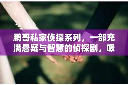 鹏哥私家侦探系列，一部充满悬疑与智慧的侦探剧，吸引了无数观众的眼球。今天，就让我带你走进这个充满神秘色彩的侦探世界，一起在线观看鹏哥私家侦探系列，感受那扣人心弦的故事情节。