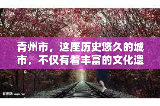 青州市，这座历史悠久的城市，不仅有着丰富的文化遗产，也有着现代生活的便捷。那么，问题来了——青州市有私家侦探公司吗？这个问题，对于需要侦探服务的人来说，无疑至关重要。接下来，我就来为大家揭开这个谜底。