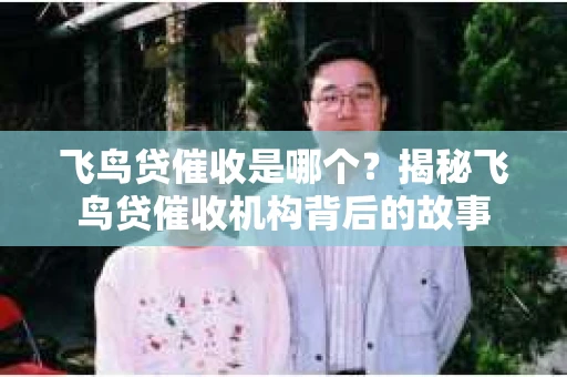飞鸟贷催收是哪个？揭秘飞鸟贷催收机构背后的故事