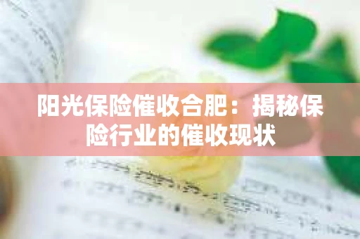阳光保险催收合肥：揭秘保险行业的催收现状