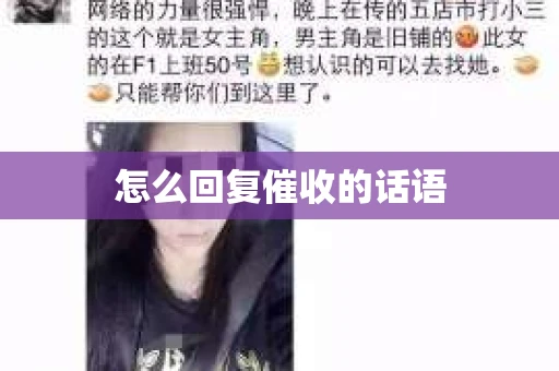 怎么回复催收的话语