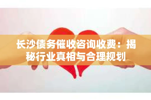 长沙债务催收咨询收费：揭秘行业真相与合理规划