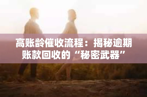 高账龄催收流程：揭秘逾期账款回收的“秘密武器”