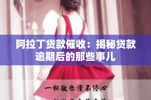 阿拉丁贷款催收：揭秘贷款逾期后的那些事儿