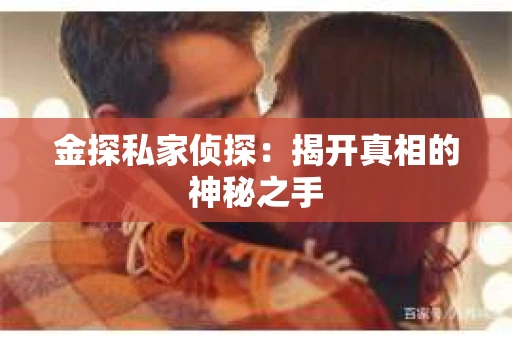 金探私家侦探：揭开真相的神秘之手