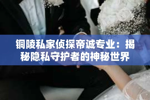 铜陵私家侦探帝诚专业：揭秘隐私守护者的神秘世界