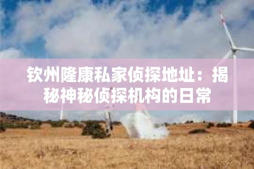钦州隆康私家侦探地址：揭秘神秘侦探机构的日常