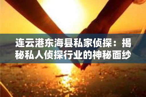 连云港东海县私家侦探：揭秘私人侦探行业的神秘面纱