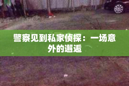 警察见到私家侦探：一场意外的邂逅