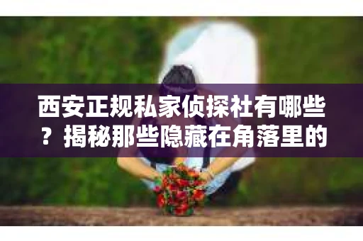 西安正规私家侦探社有哪些？揭秘那些隐藏在角落里的神秘力量
