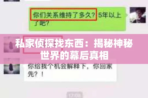 私家侦探找东西：揭秘神秘世界的幕后真相