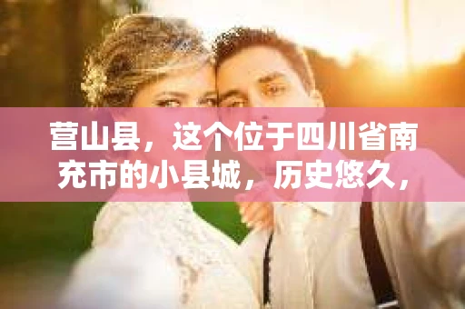 营山县，这个位于四川省南充市的小县城，历史悠久，风景秀丽。但在这个宁静的小县城里，你是否会好奇，有没有私家侦探的存在呢？今天，我就来和大家聊聊这个话题。