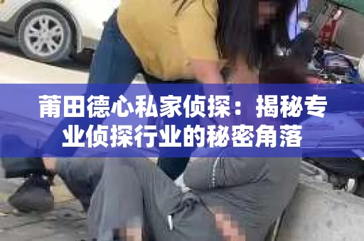莆田德心私家侦探：揭秘专业侦探行业的秘密角落