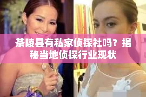 茶陵县有私家侦探社吗？揭秘当地侦探行业现状