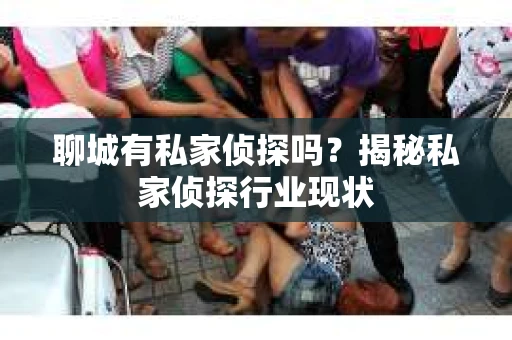 聊城有私家侦探吗？揭秘私家侦探行业现状