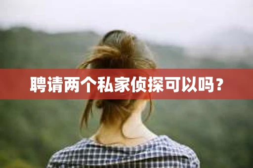 聘请两个私家侦探可以吗？