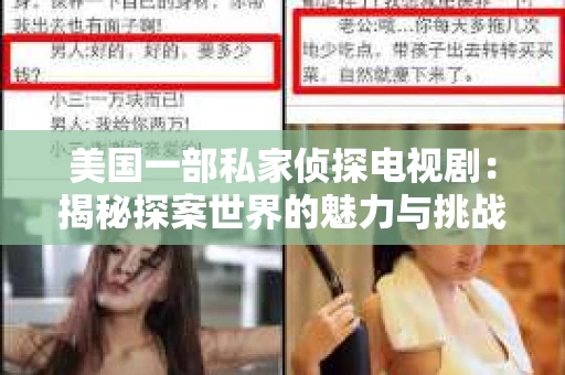 美国一部私家侦探电视剧：揭秘探案世界的魅力与挑战