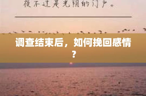 调查结束后，如何挽回感情？