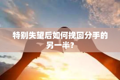 特别失望后如何挽回分手的另一半？