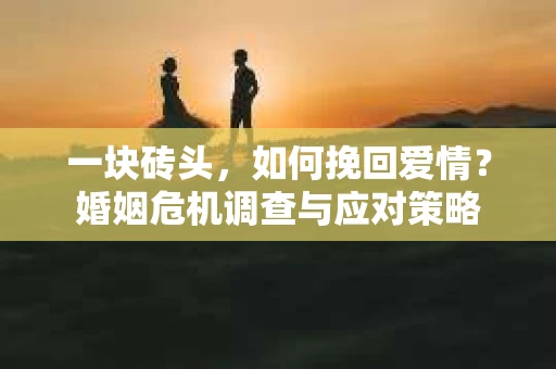 一块砖头，如何挽回爱情？婚姻危机调查与应对策略