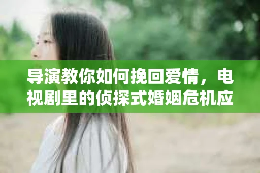 导演教你如何挽回爱情，电视剧里的侦探式婚姻危机应对法