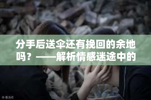 分手后送伞还有挽回的余地吗？——解析情感迷途中的决策