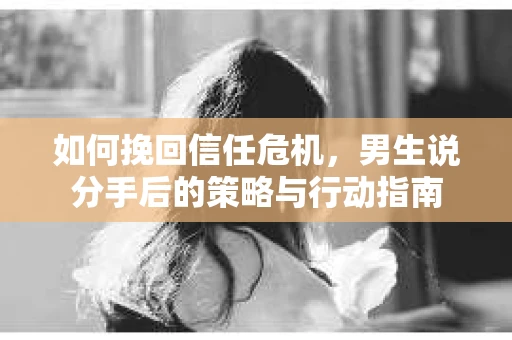如何挽回信任危机，男生说分手后的策略与行动指南