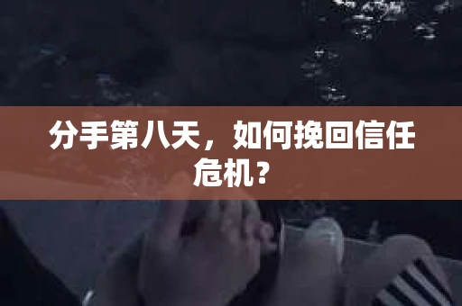 分手第八天，如何挽回信任危机？