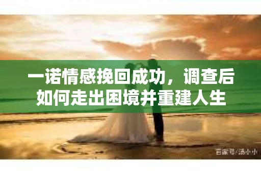 一诺情感挽回成功，调查后如何走出困境并重建人生