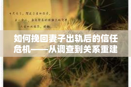 如何挽回妻子出轨后的信任危机——从调查到关系重建的全方位指南