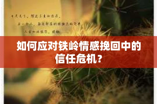 如何应对铁岭情感挽回中的信任危机? 如何应对铁岭情感挽回中的信任危机?