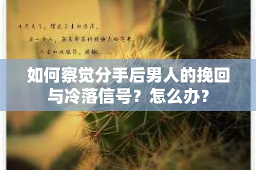 如何察觉分手后男人的挽回与冷落信号？怎么办？