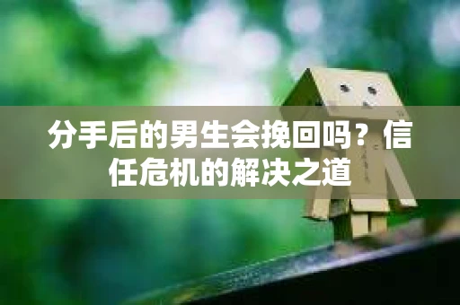 分手后的男生会挽回吗？信任危机的解决之道